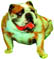 3D-Bild Bulldogge